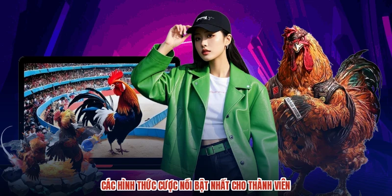 Các hình thức cược nổi bật nhất cho thành viên