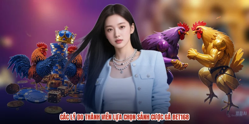 Các lý do thành viên lựa chọn sảnh cược gà BET168
