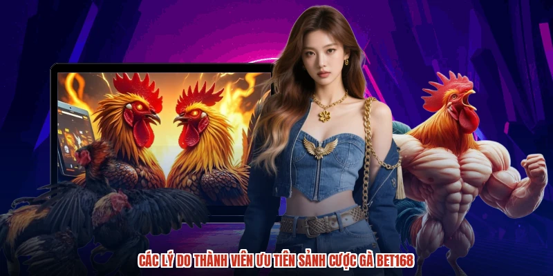 Các lý do thành viên ưu tiên sảnh cược gà BET168