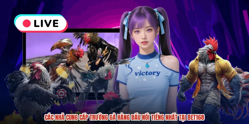 Các nhà cung cấp trường gà hàng đầu nổi tiếng nhất tại BET168