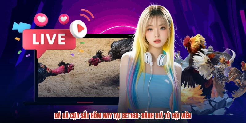 Đá Gà Cựa Sắt Hôm Nay Tại BET168: Đánh Giá Từ Hội Viên
