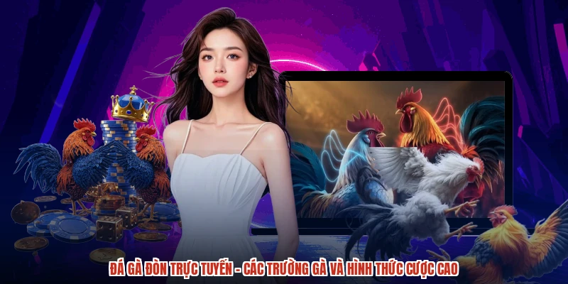 Đá Gà Đòn Trực Tuyến - Các Trường Gà Và Hình Thức Cược Cao