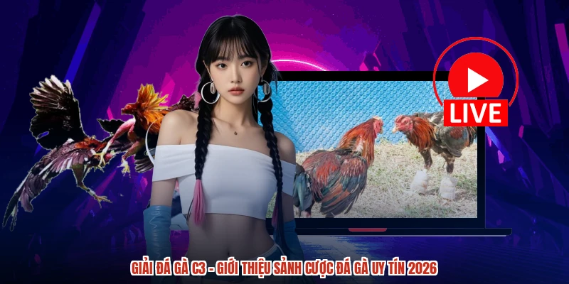 Giải Đá Gà C3 - Giới Thiệu Sảnh Cược Đá Gà Uy Tín 2026