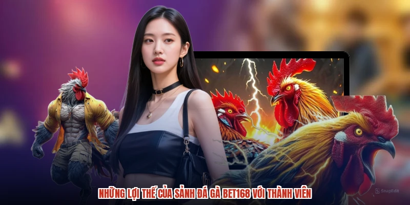 Những lợi thế của sảnh đá gà BET168 với thành viên