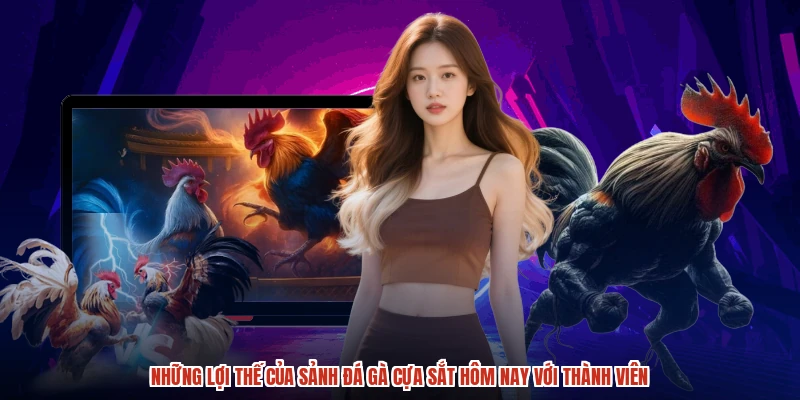 Những lợi thế của sảnh đá gà cựa sắt hôm nay với thành viên