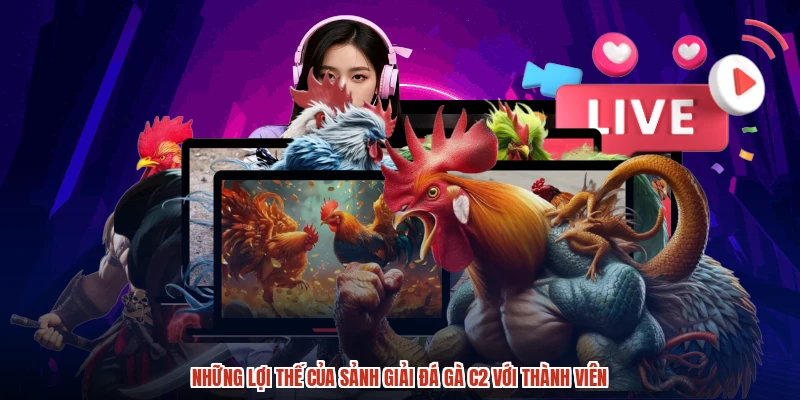 Những lợi thế của sảnh giải đá gà C2 với thành viên