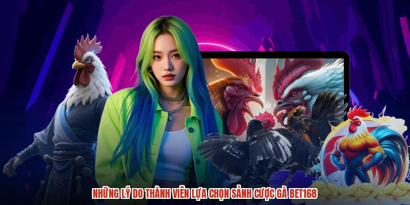 Những lý do thành viên lựa chọn sảnh cược gà BET168