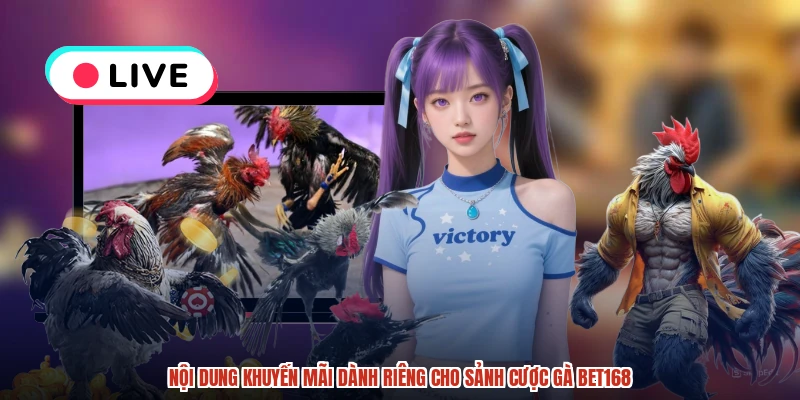 Nội dung khuyến mãi dành riêng cho sảnh cược gà BET168