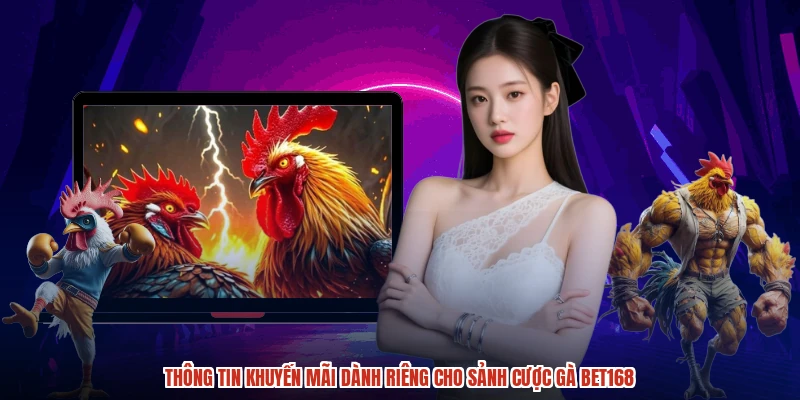 Thông tin khuyến mãi dành riêng cho sảnh cược gà BET168