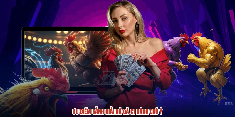 Ưu điểm sảnh giải đá gà C1 đáng chú ý Ưu điểm sảnh giải đá gà C1 đáng chú ý
